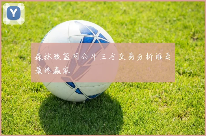 森林狼篮网公牛三方交易分析谁是最终赢家